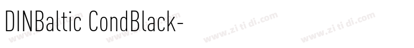 DINBaltic CondBlack字体转换
